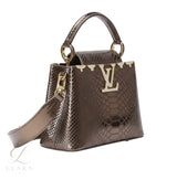 Louis Vuitton | Capucines Metallic Python Bag – product image 2