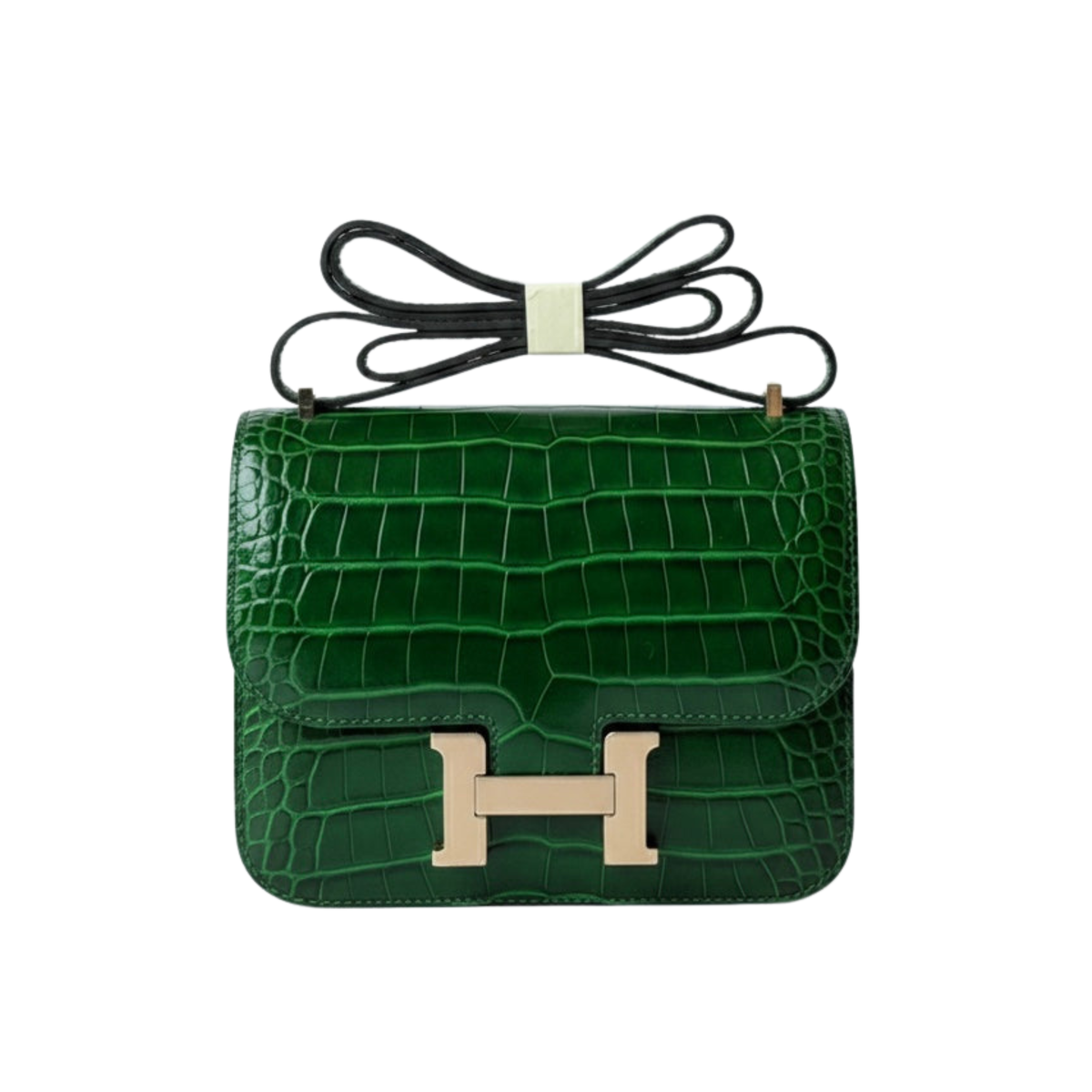 Hermès | Constance 18 Cactus Alligator Bag – product image 1