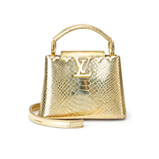 Louis Vuitton | Capucines Taurillon Bag – Silver – product image 1