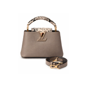 Louis Vuitton | Capucines Steeple Grey Python Bag – product image 1