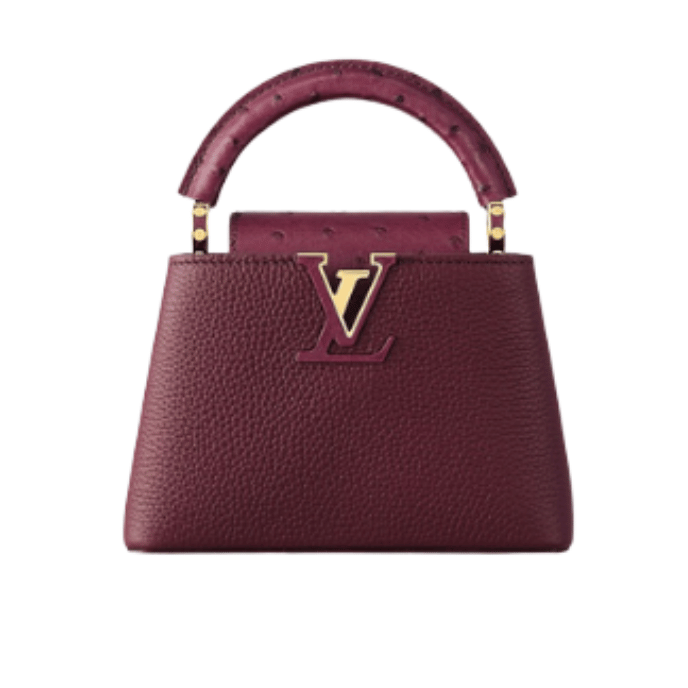 Louis Vuitton | Capucines East-West Mini Crinkled Grenat Red Leather Gold-Toned Hardware Bag – product image 1